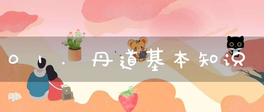 01.丹道基本知识