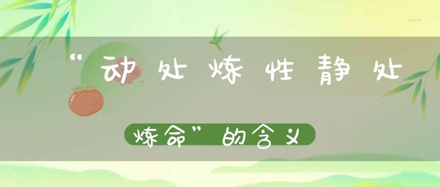 “动处炼性静处炼命”的含义