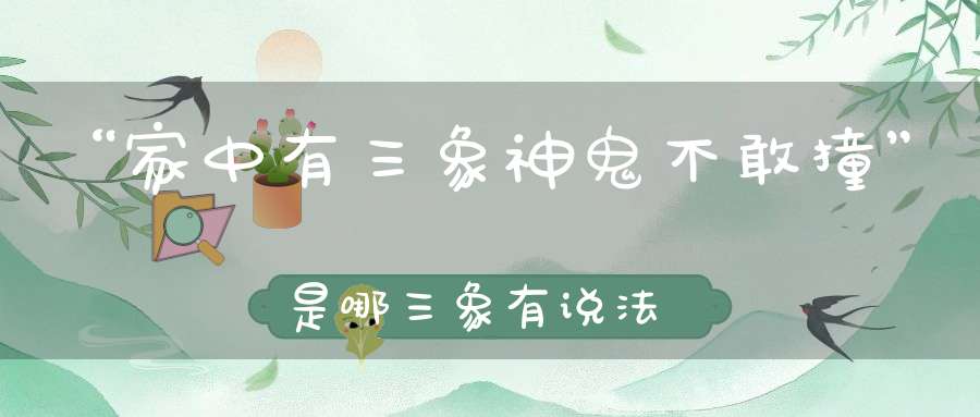 “家中有三象神鬼不敢撞”是哪三象有说法吗