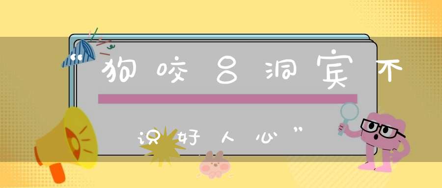 “狗咬吕洞宾不识好人心”