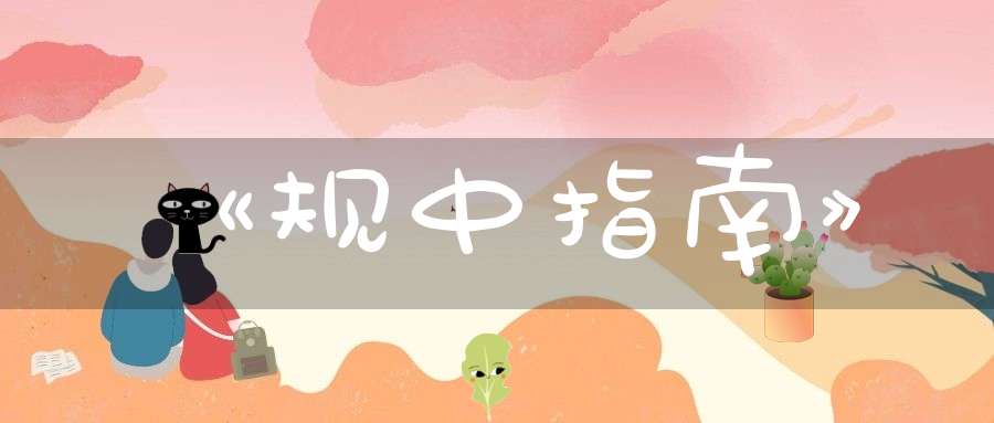 《规中指南》