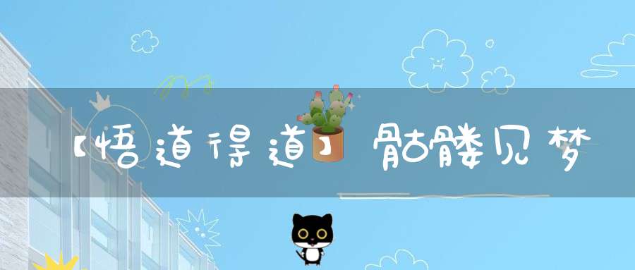 【悟道得道】骷髅见梦