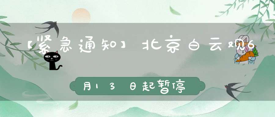 【紧急通知】北京白云观6月13日起暂停开放