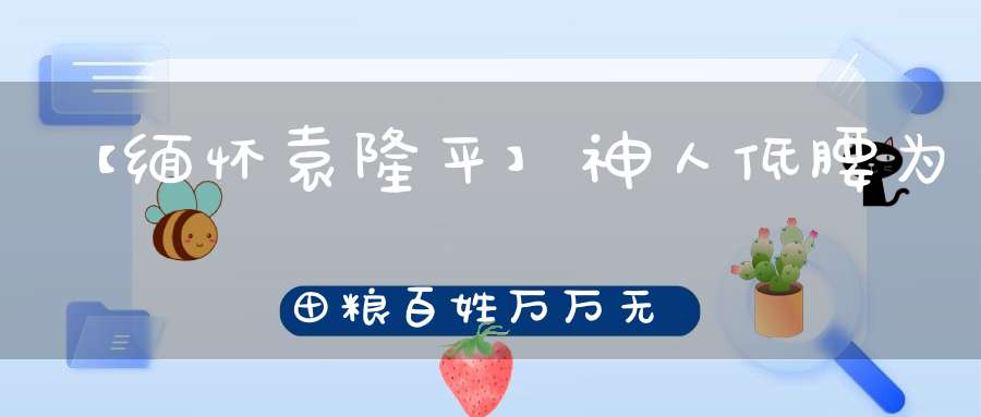 【缅怀袁隆平】神人低腰为田粮百姓万万无饥寒！
