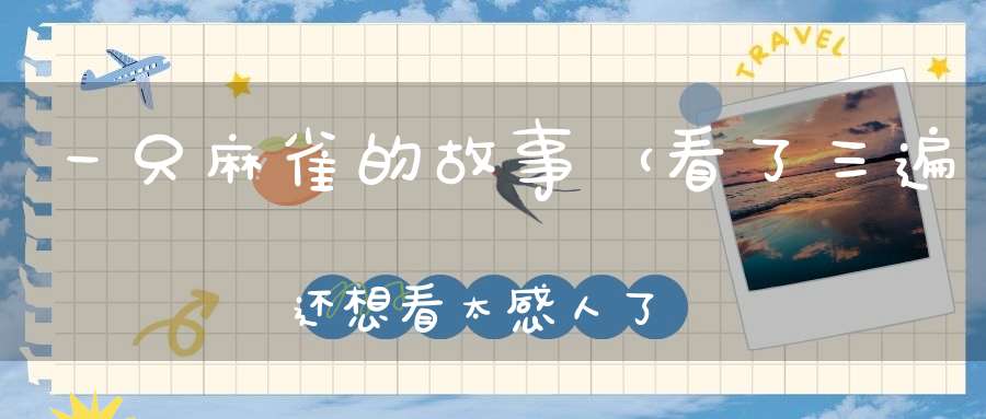 一只麻雀的故事（看了三遍还想看太感人了）