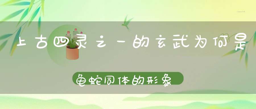 上古四灵之一的玄武为何是龟蛇同体的形象与武当山有何渊源