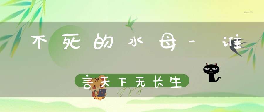 不死的水母-谁言天下无长生