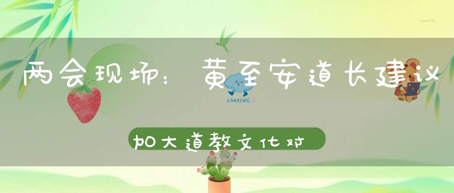 两会现场：黄至安道长建议加大道教文化对外传播