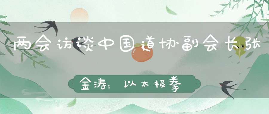 两会访谈中国道协副会长张金涛：以太极拳等“术”助力道教文化传播