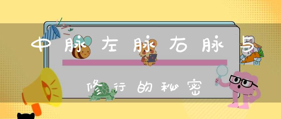 中脉左脉右脉与修行的秘密