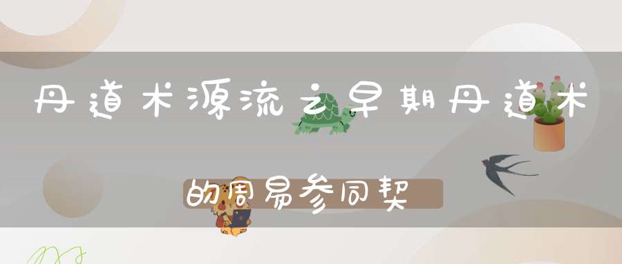 丹道术源流之早期丹道术的周易参同契