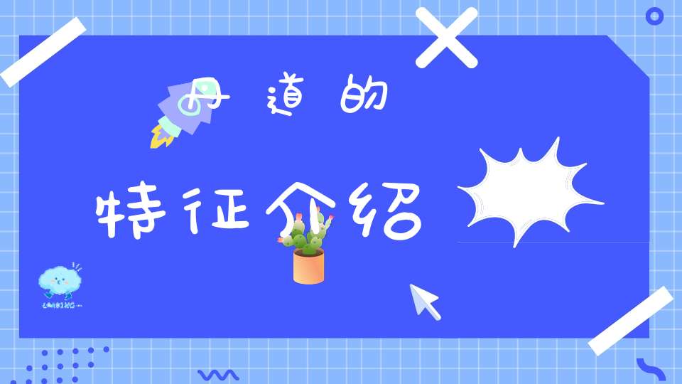 丹道的特征介绍