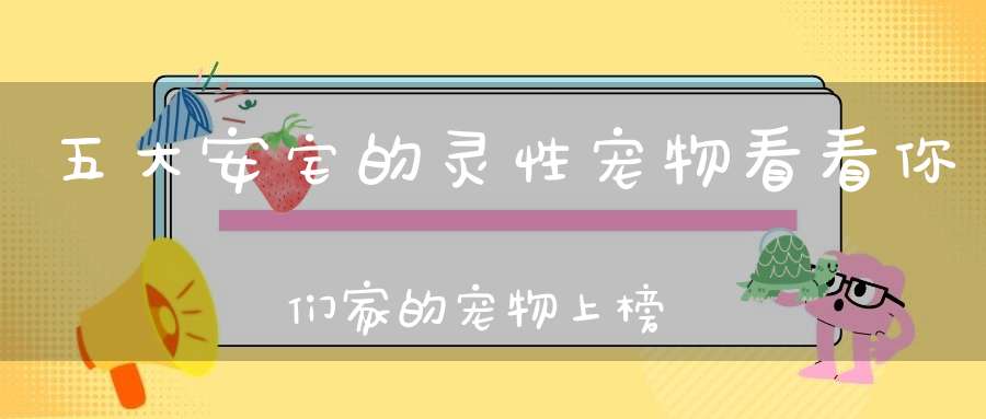 五大安宅的灵性宠物看看你们家的宠物上榜了吗