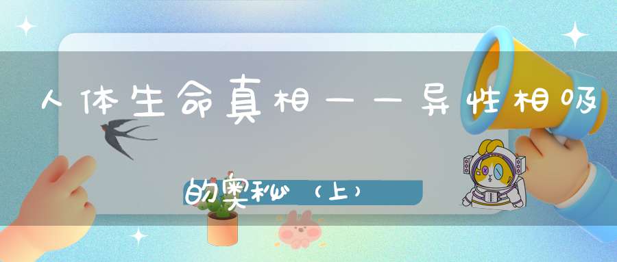 人体生命真相——异性相吸的奥秘（上）