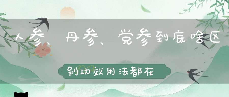 人参、丹参、党参到底啥区别功效用法都在这了！