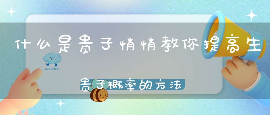 什么是贵子悄悄教你提高生贵子概率的方法！