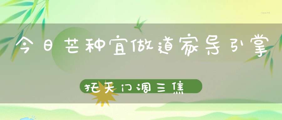 今日芒种宜做道家导引掌托天门调三焦