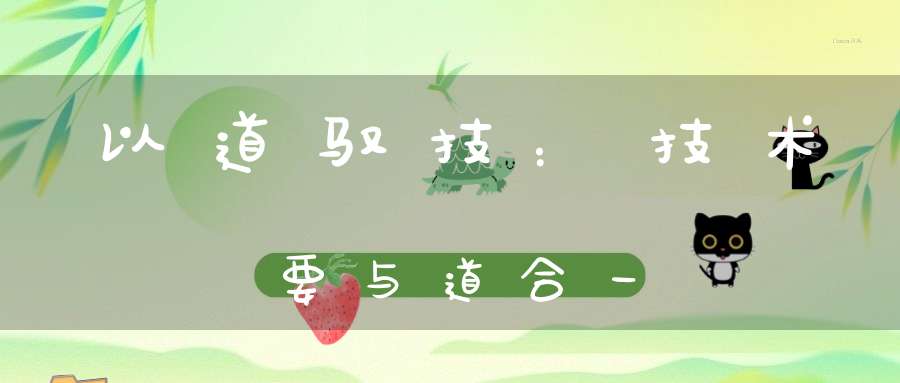 以道驭技：技术要与道合一