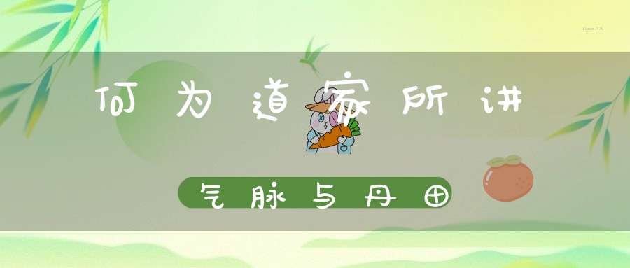 何为道家所讲气脉与丹田
