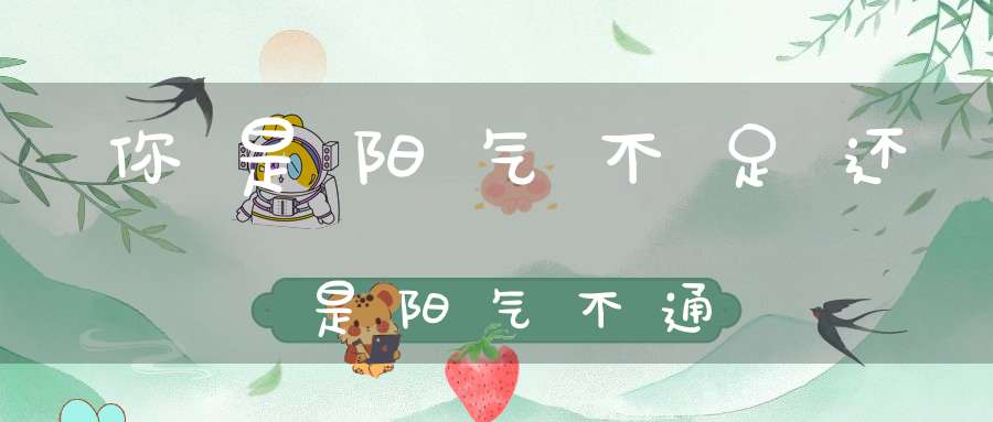 你是阳气不足还是阳气不通