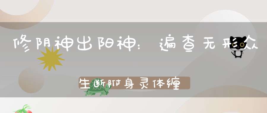 修阴神出阳神：遍查无形众生断附身灵体缠染！
