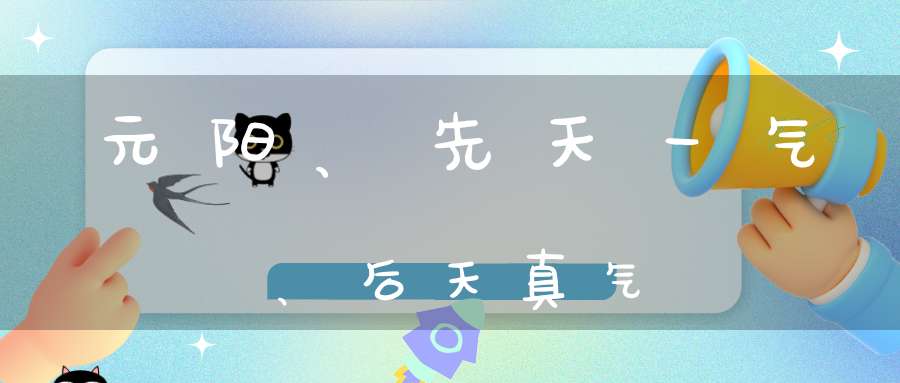 元阳、先天一气、后天真气