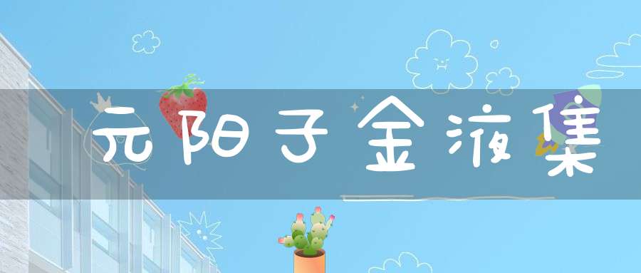 元阳子金液集