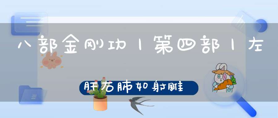 八部金刚功丨第四部丨左肝右肺如射雕