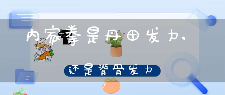 内家拳是丹田发力,还是脊骨发力