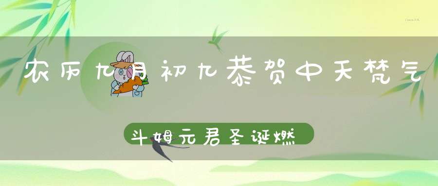 农历九月初九恭贺中天梵气斗姆元君圣诞燃灯礼斗获福无量！