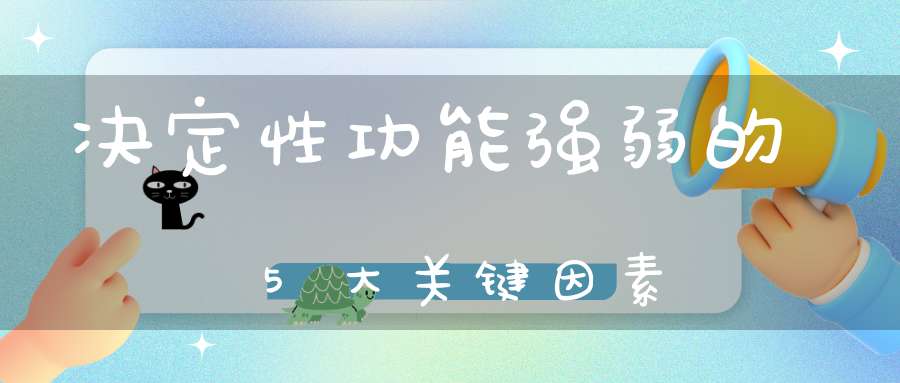 决定性功能强弱的5大关键因素