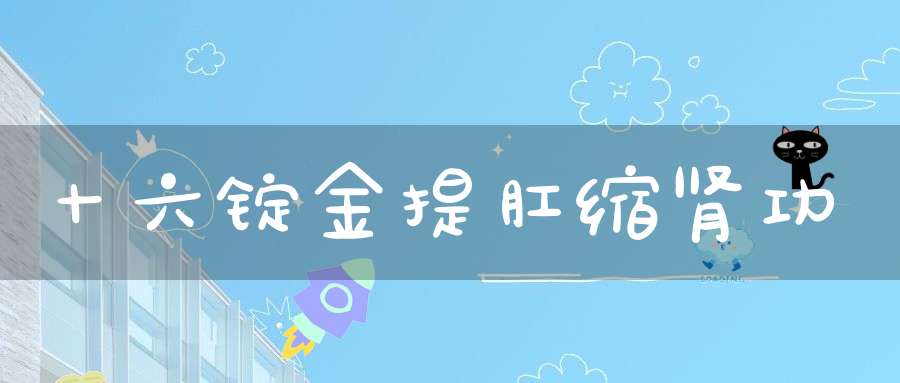 十六锭金提肛缩肾功