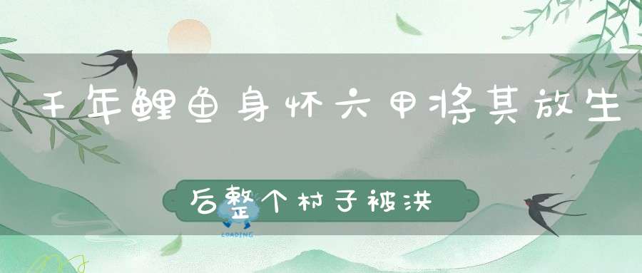 千年鲤鱼身怀六甲将其放生后整个村子被洪水淹没！