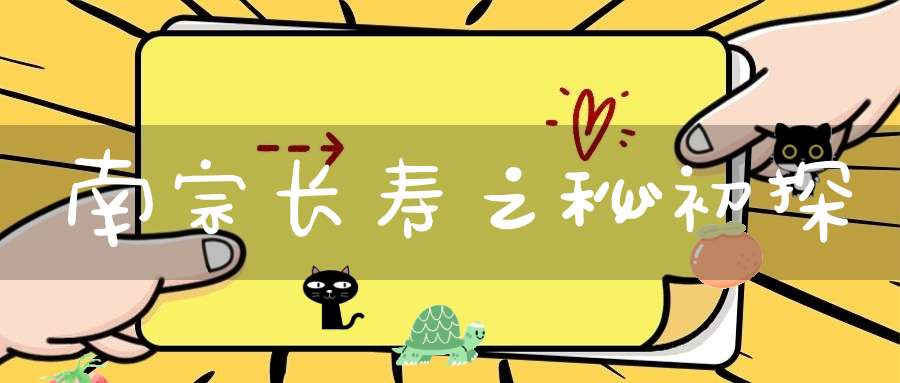 南宗长寿之秘初探