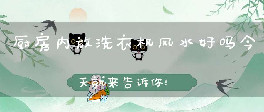 厨房内放洗衣机风水好吗今天就来告诉你！