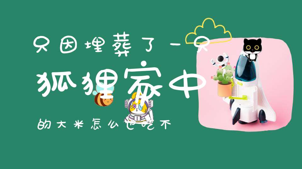 只因埋葬了一只狐狸家中的大米怎么也吃不完道士一眼道出玄机