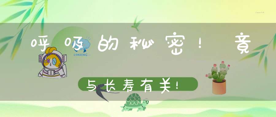 呼吸的秘密！竟与长寿有关！