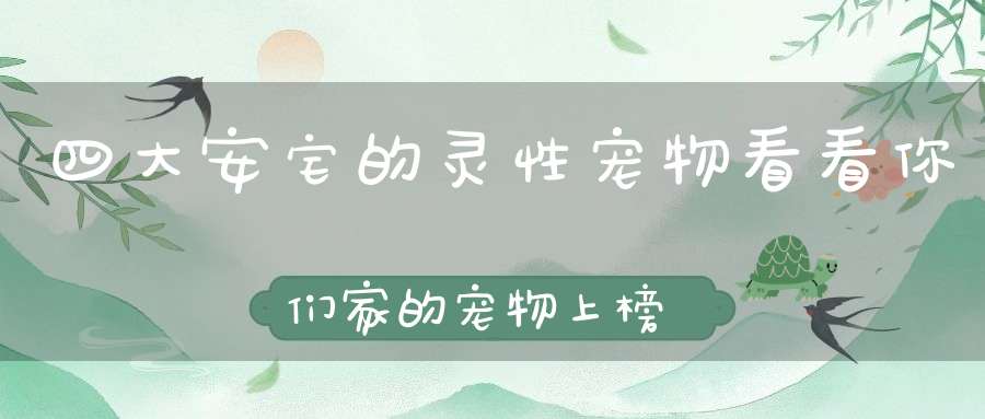 四大安宅的灵性宠物看看你们家的宠物上榜了吗