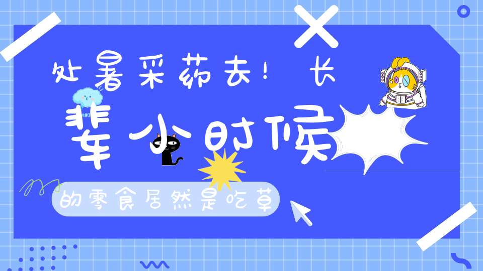 处暑采药去！长辈小时候的零食居然是吃草！挖出来尝尝！
