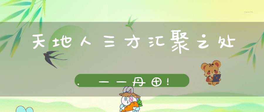 天地人三才汇聚之处.——丹田！