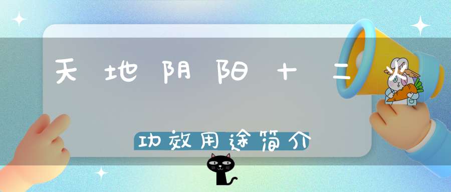 天地阴阳十二火功效用途简介