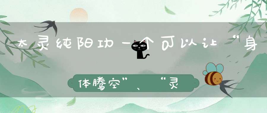 太灵纯阳功一个可以让“身体腾空”、“灵体飞升”的功法！
