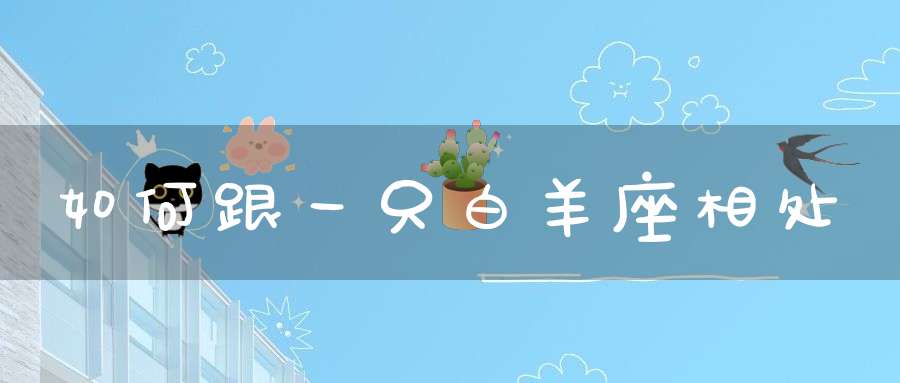 如何跟一只白羊座相处