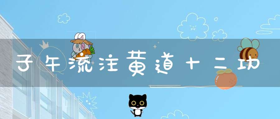子午流注黄道十二功