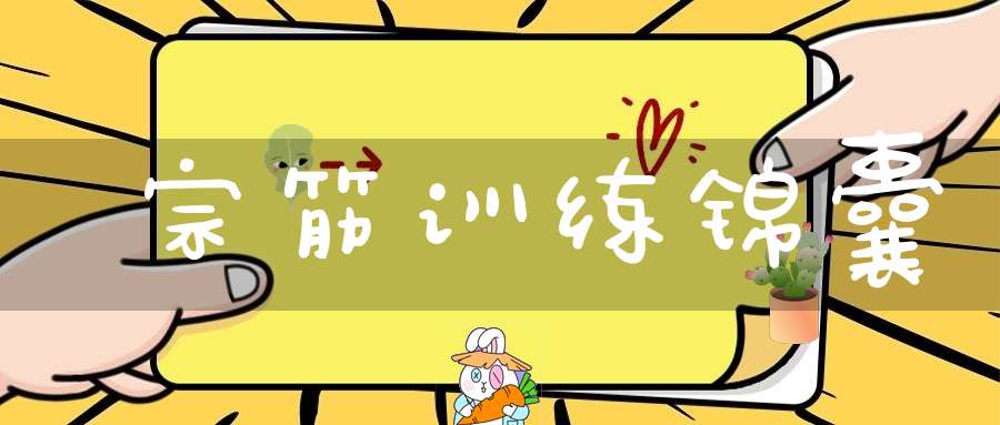 宗筋训练锦囊&宗筋铁布衫训练搭档限量发售