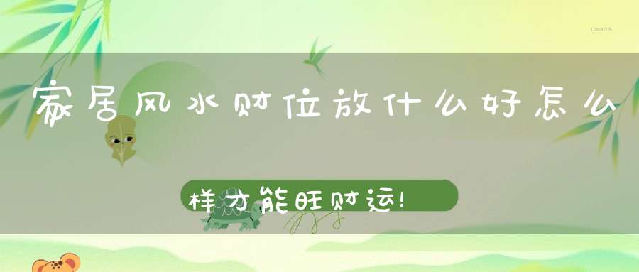 家居风水财位放什么好怎么样才能旺财运！