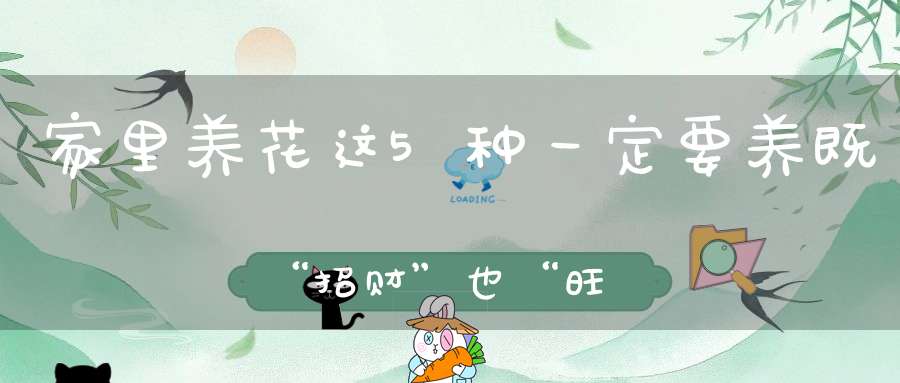 家里养花这5种一定要养既“招财”也“旺人”别忽视