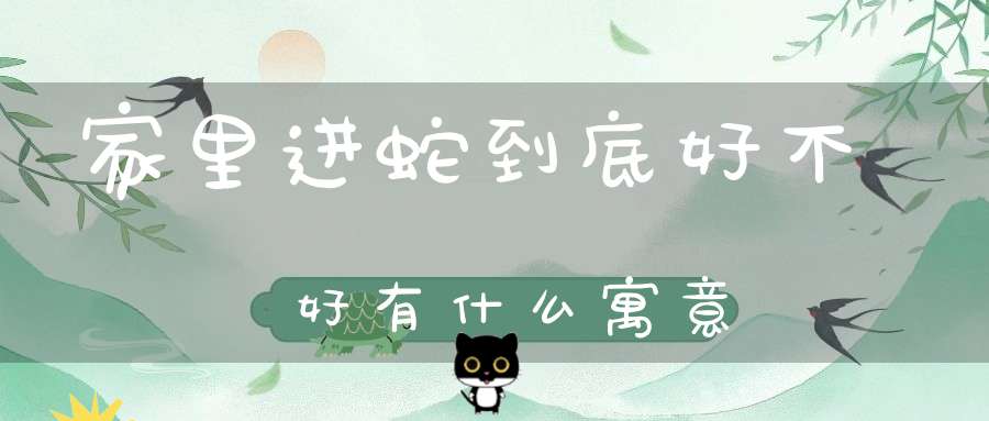 家里进蛇到底好不好有什么寓意