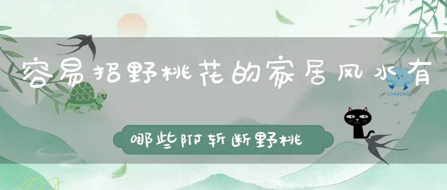 容易招野桃花的家居风水有哪些附斩断野桃花方法