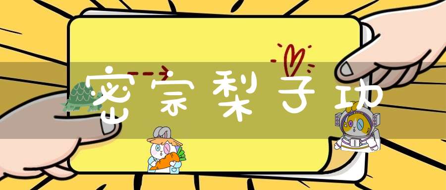 密宗梨子功